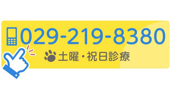 029-219-8380　土曜・祝日診療