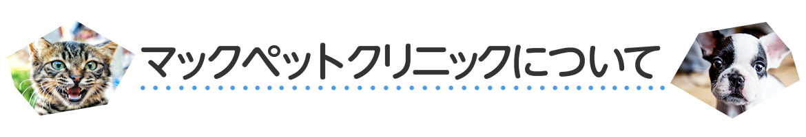 マックペットクリニックについて