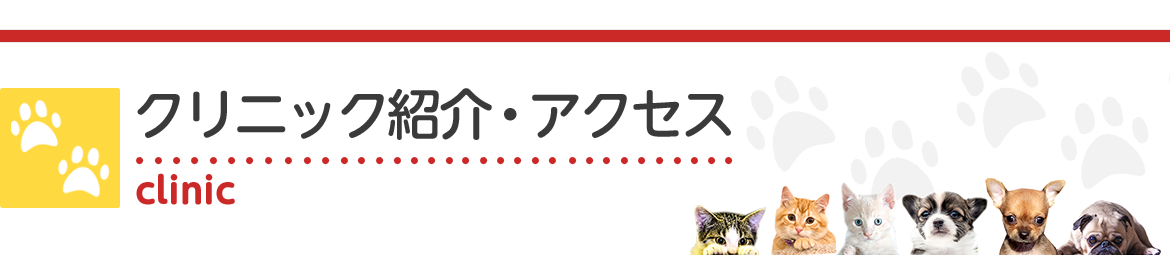 クリニック紹介・アクセス